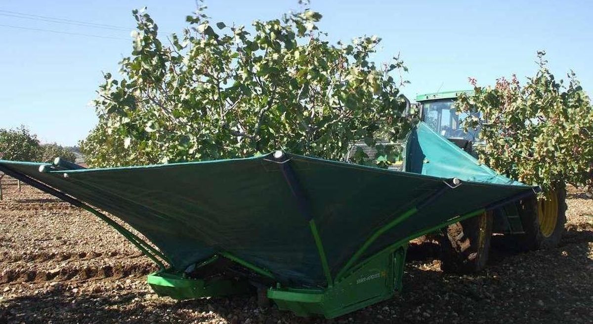 Naturduero pondrá en marcha este año una planta procesadora de pistachos