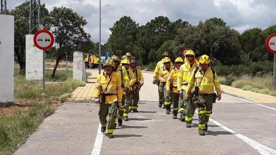 Controlado el incendio en La Palomera