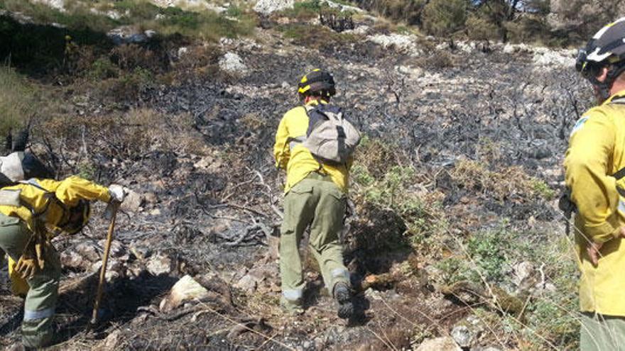 Unas 40 personas trabajan hoy para extinguir el fuego