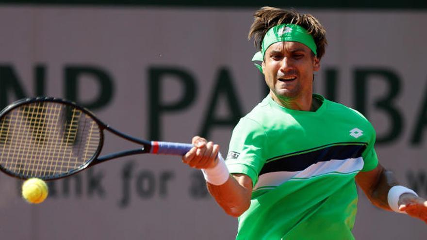 David Ferrer