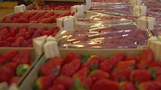 Agricultores denuncian la segunda detección de hepatitis A en fresas de Marruecos en nueve días