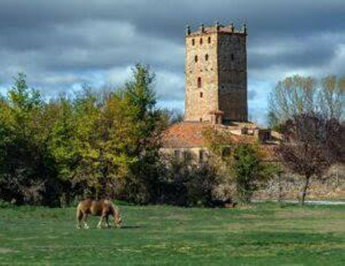 foto soria reducida