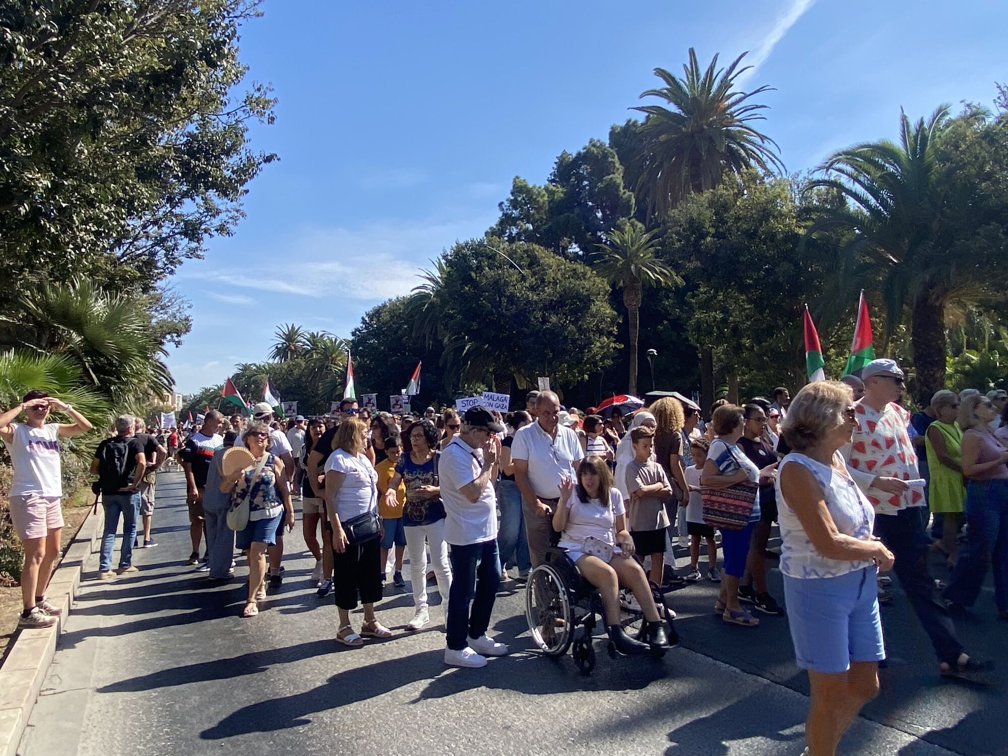 Manifestación en Málaga en favor del pueblo palestino