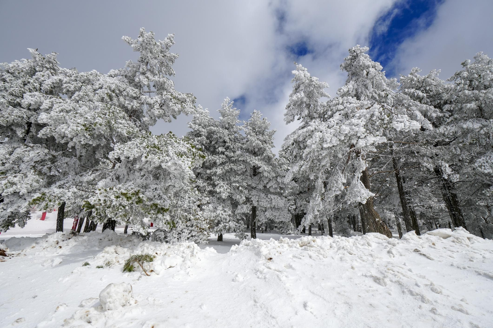 Valdelinares en invierno.