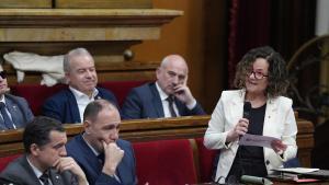 La consellera de Cultura de la Generalitat de Catalunya, Sònia Hernández, interviene durante una sesión de control al Govern, en el Parlament de Catalunya.