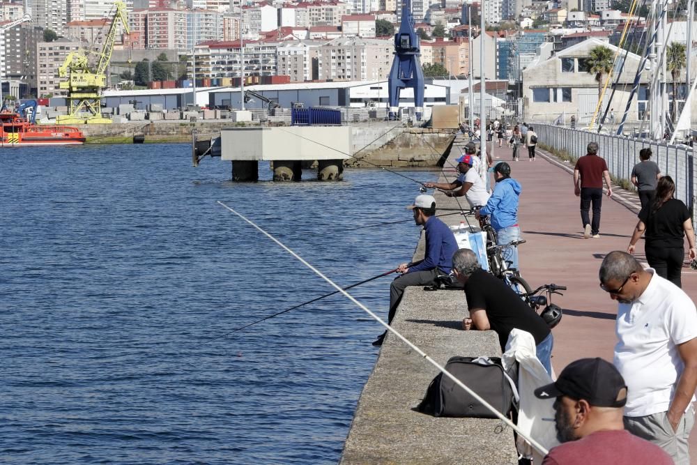 Los aficionados disfrutaron de una jornada de pesca deportiva