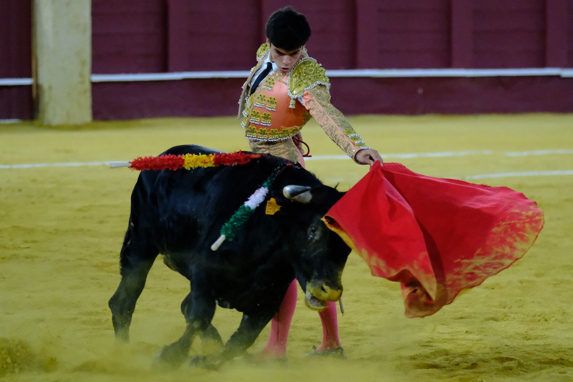 Toros en la Feria | Novena corrida de abono en La Malagueta: 3ª Semifinal de las Escuelas Taurinas