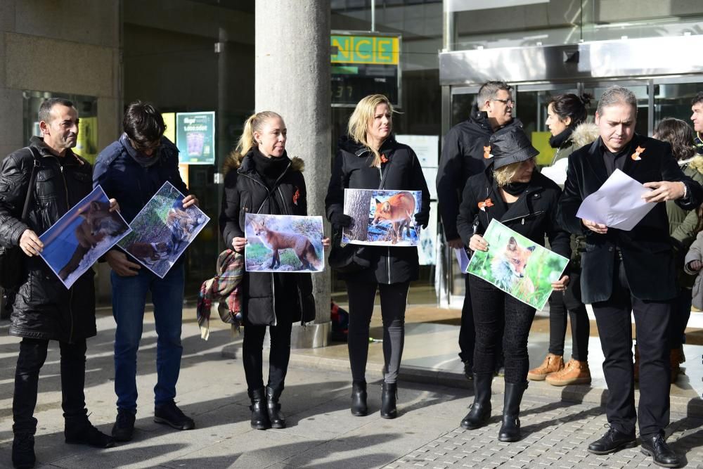 Protesta en A Coruña contra la caza de zorros