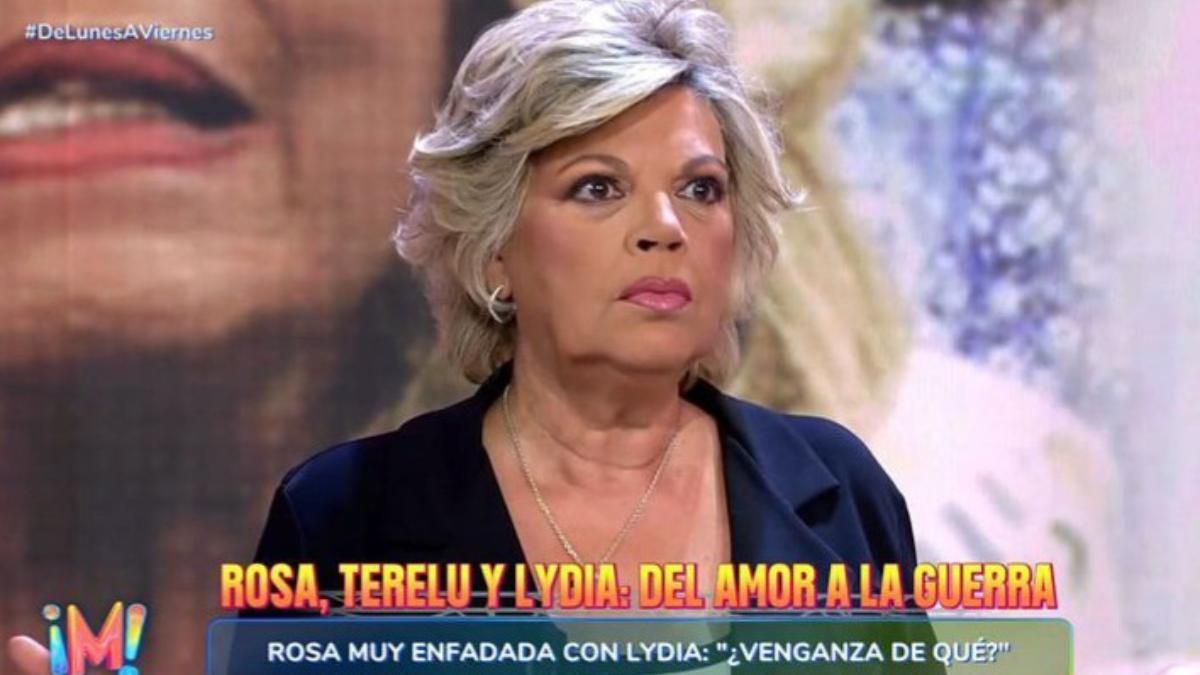 Terelu Campos en 'De lunes a viernes'