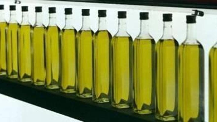 Córdoba producirá un 37,1% menos de aceite de oliva esta campaña, según el aforo