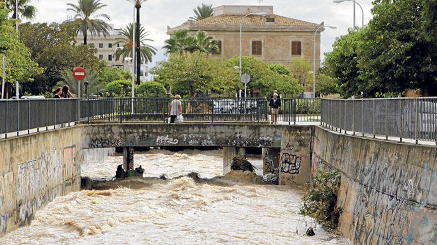 Fließt durch Palma etwa ein Fluss? Wenn es viel regnet, verwandelt sich der Torrent de sa Riera in einen reißenden Bach.