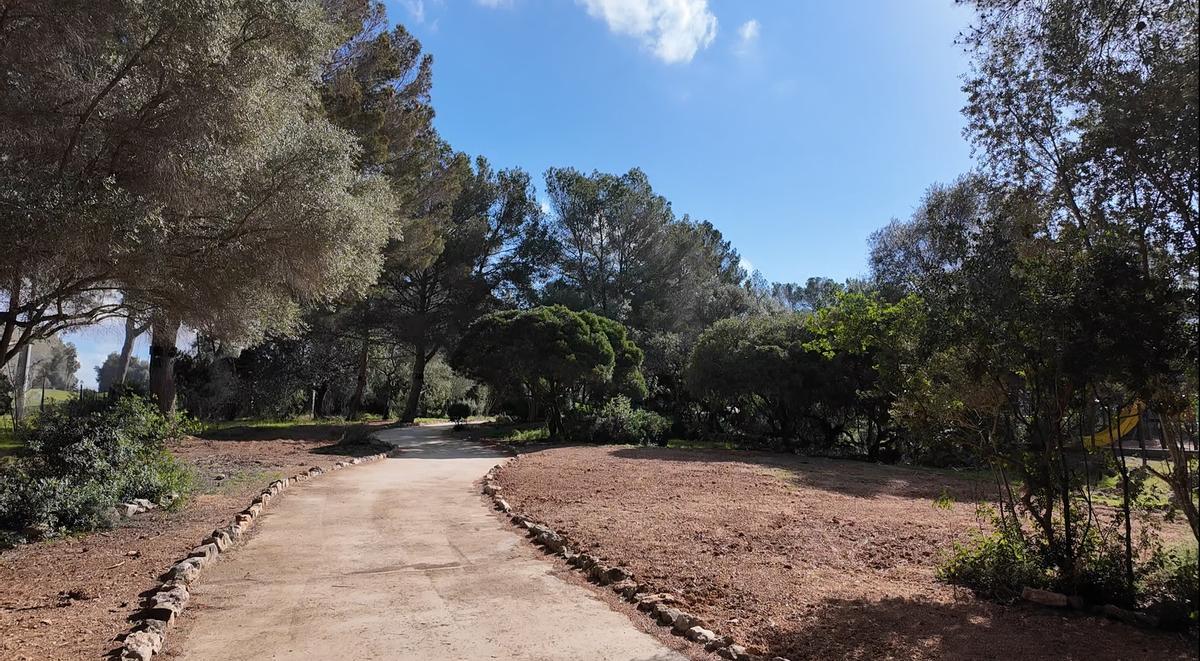 FOTOS | La zona verde de Bendinat, en imágenes FOTOS | La zona verde de Bendinat, en imágenes