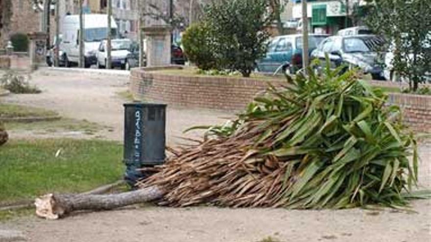 Rachas de viento de 70 km/h provocan múltiples daños