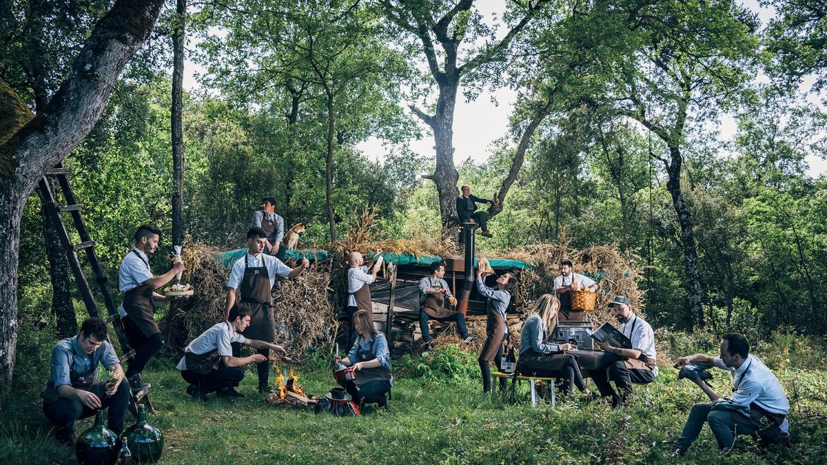 El chef español que sirve liquen, la primera planta comestible de la humanidad