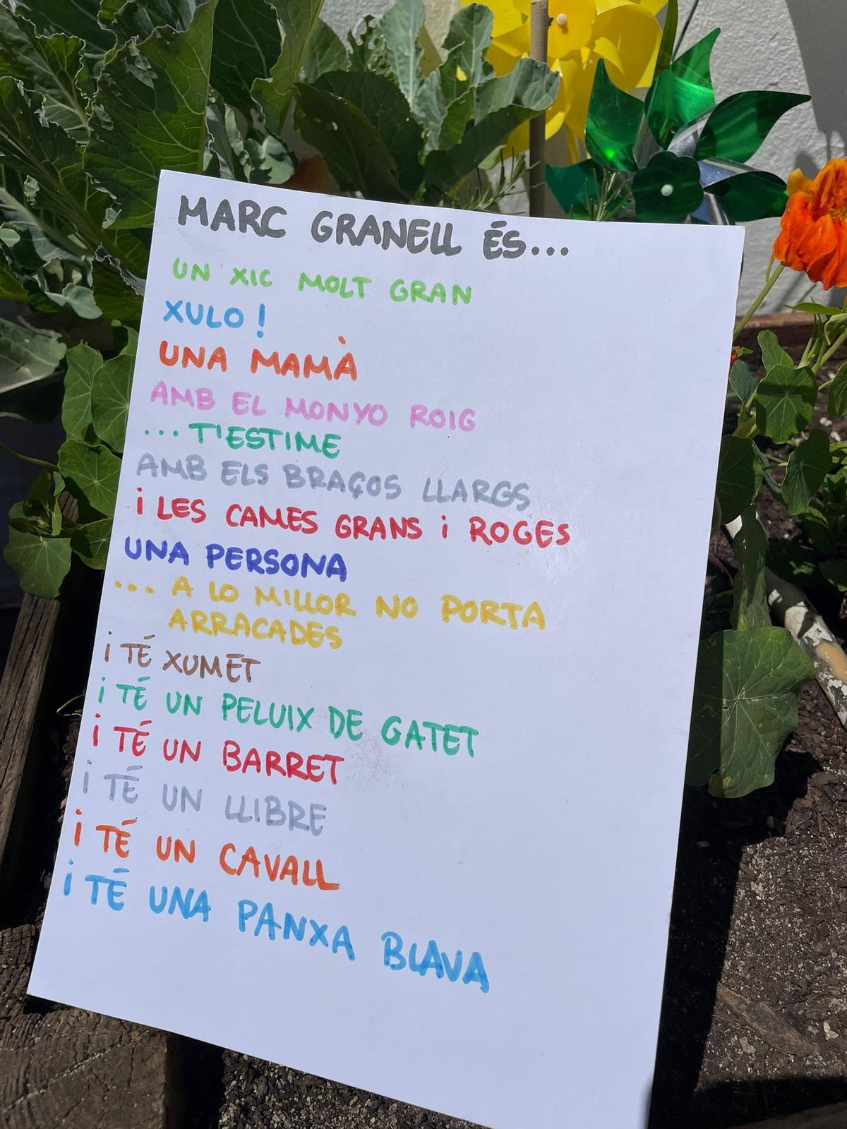 Frases escrites per les mestres de l'Escoleta el Trenet de Patraix sobre com veuen el poeta els xiquets i xiquetes de zero a tres anys.