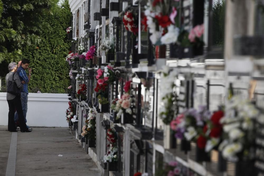 Día de Difuntos en el cementerio de Ceares, Gijón