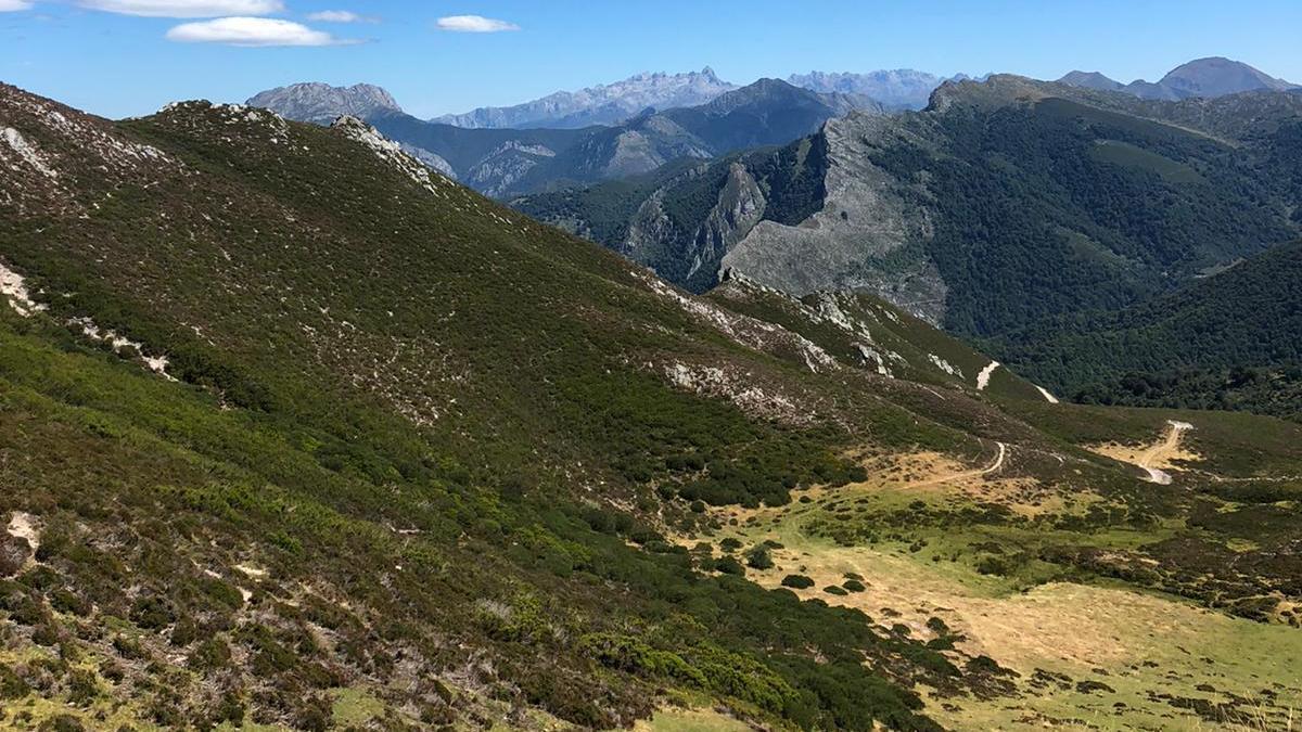 La zona de Ubales, en Caso.