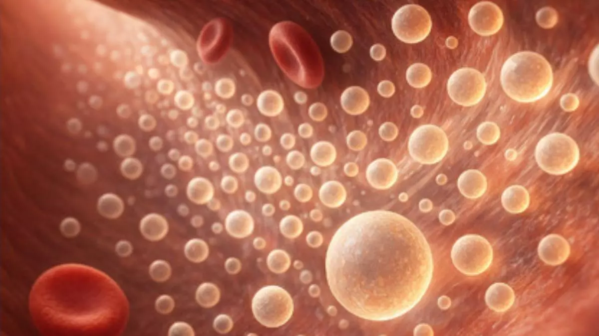 Desvelado el "correo molecular" humano: los científicos descubren los mensajes ocultos en la sangre