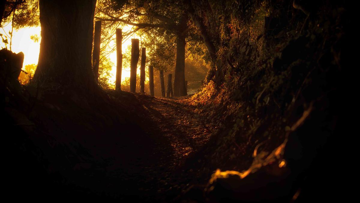 Los Covarones del Tuernes, así es el impresionante paisaje kárstico de moda en Llanera