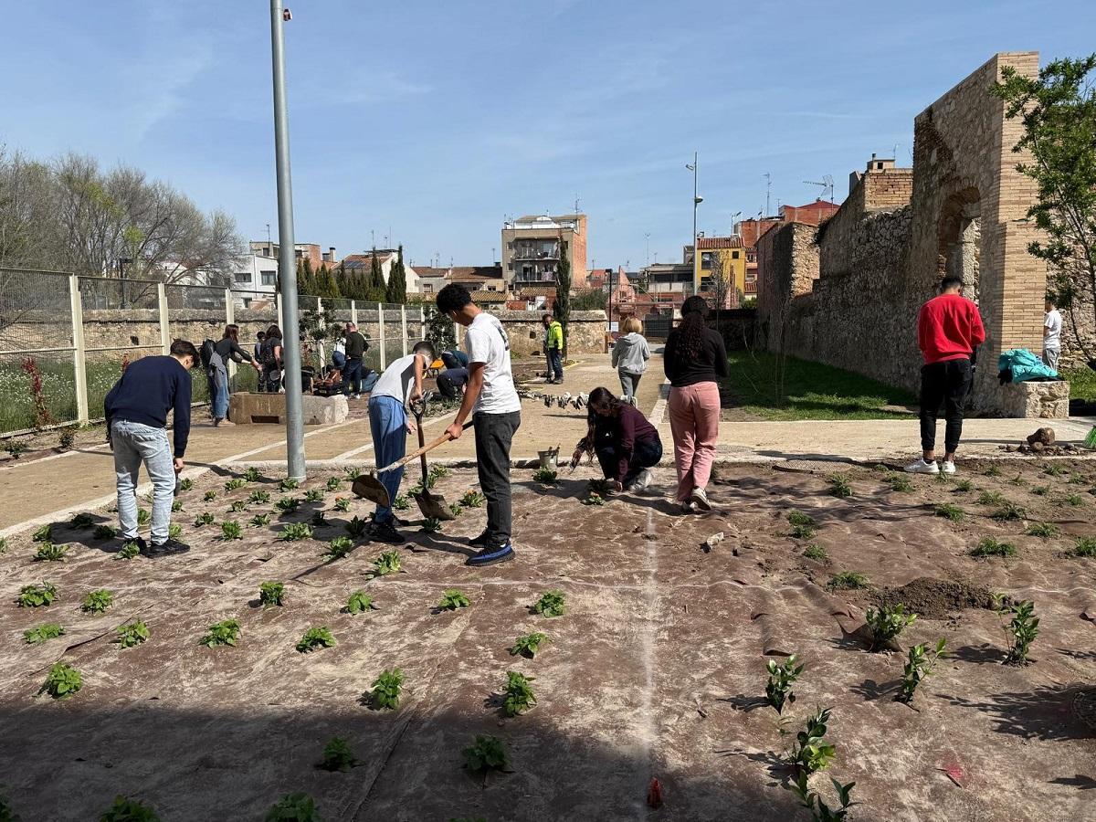 Els estudiants durant el procés de plantació en el jardí de Caputxins