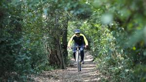 Un ciclista circula por un camino boscoso de Collserola, en Barcelona.