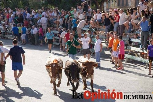 Segundo encierro de Calasparra 2014