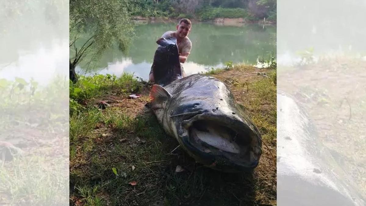 Jorge García junto al siluro pescado.