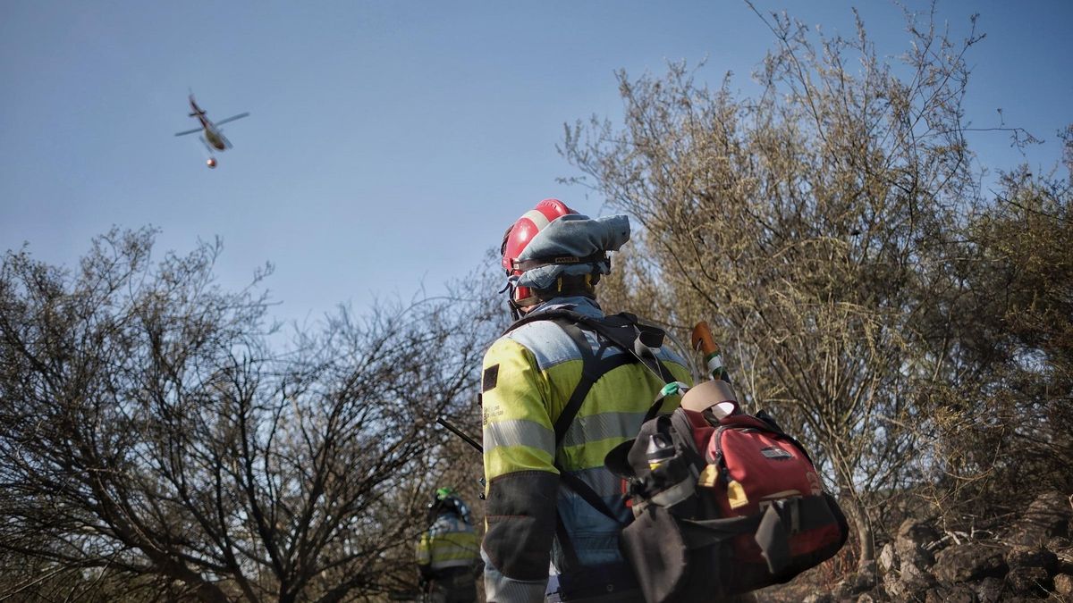 Bomberos realizando labores ambientales en la zona del incendio de El Tanque y Santiago del Teide