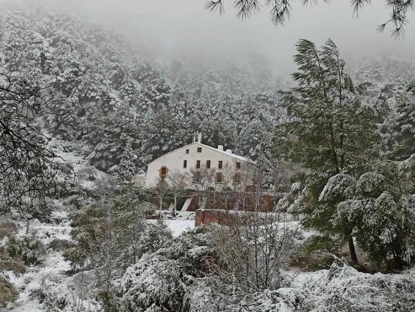 Las mejores imágenes de la borrasca Filomena en Castellón