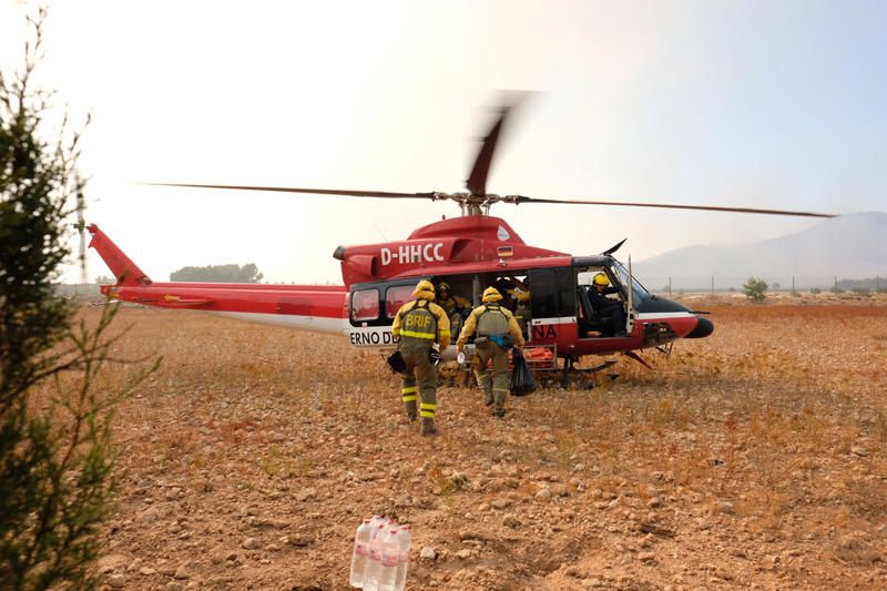 Declarado un incendio en una zona de barranco de Beneixama