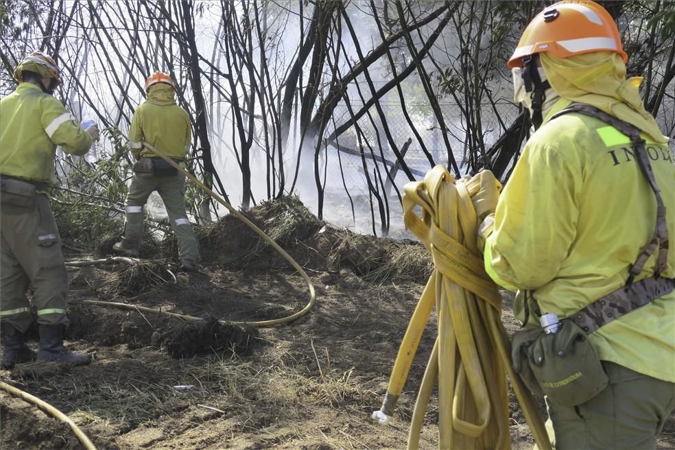 Incendio forestal en Cáceres