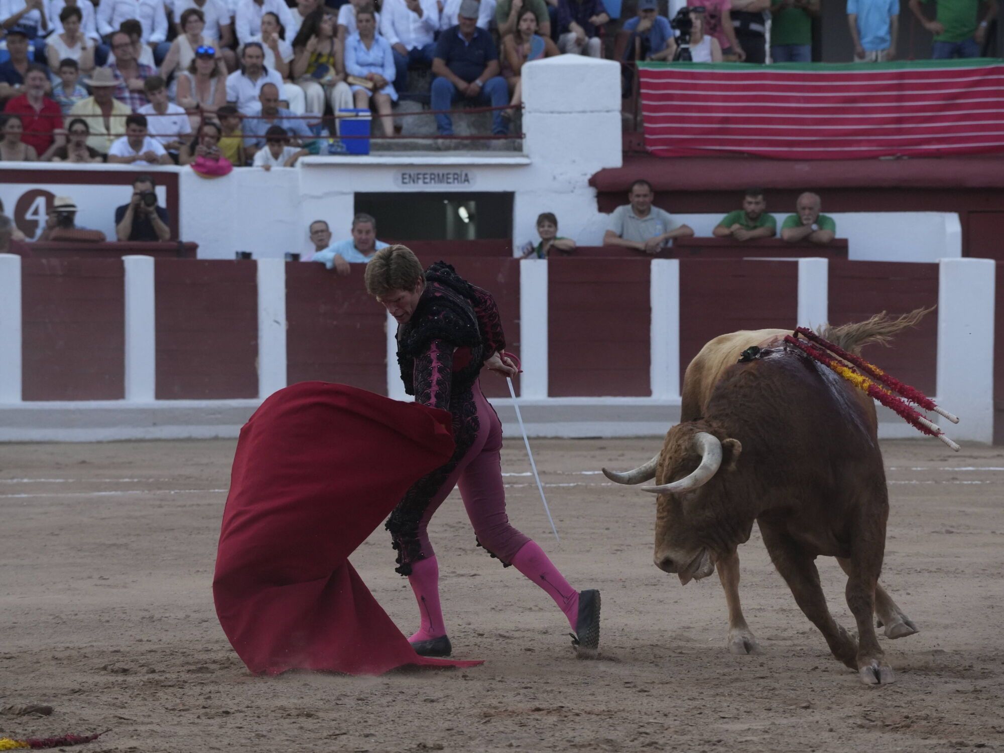 Las mejores imágenes de la feria taurina de San Pedro en Zamora.