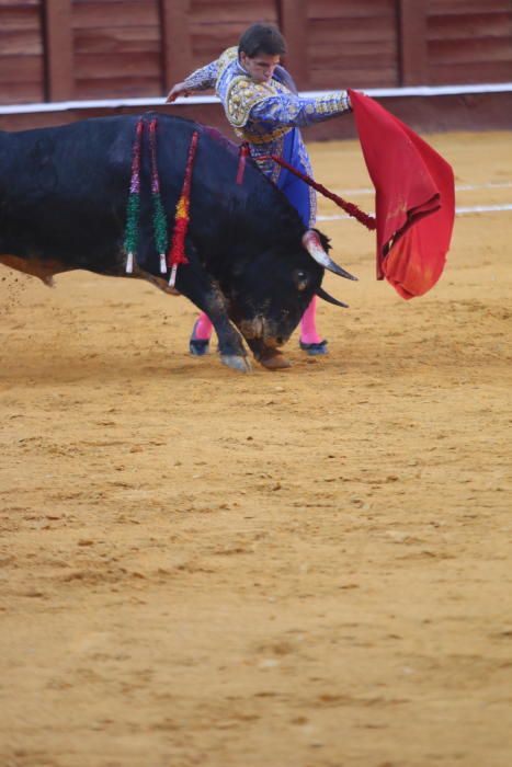 Toros | Novillada de la Feria Taurina de 2018