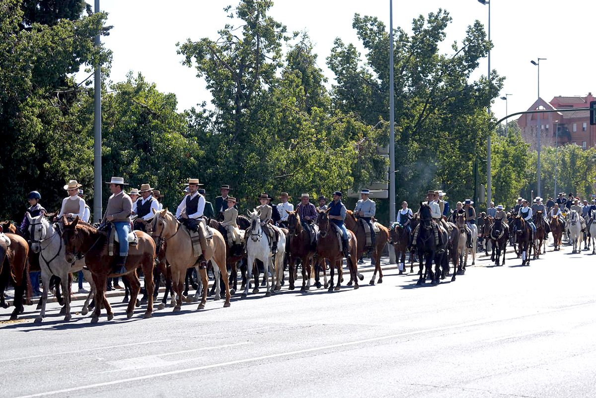 los caballos reinan en Córdoba el 28F