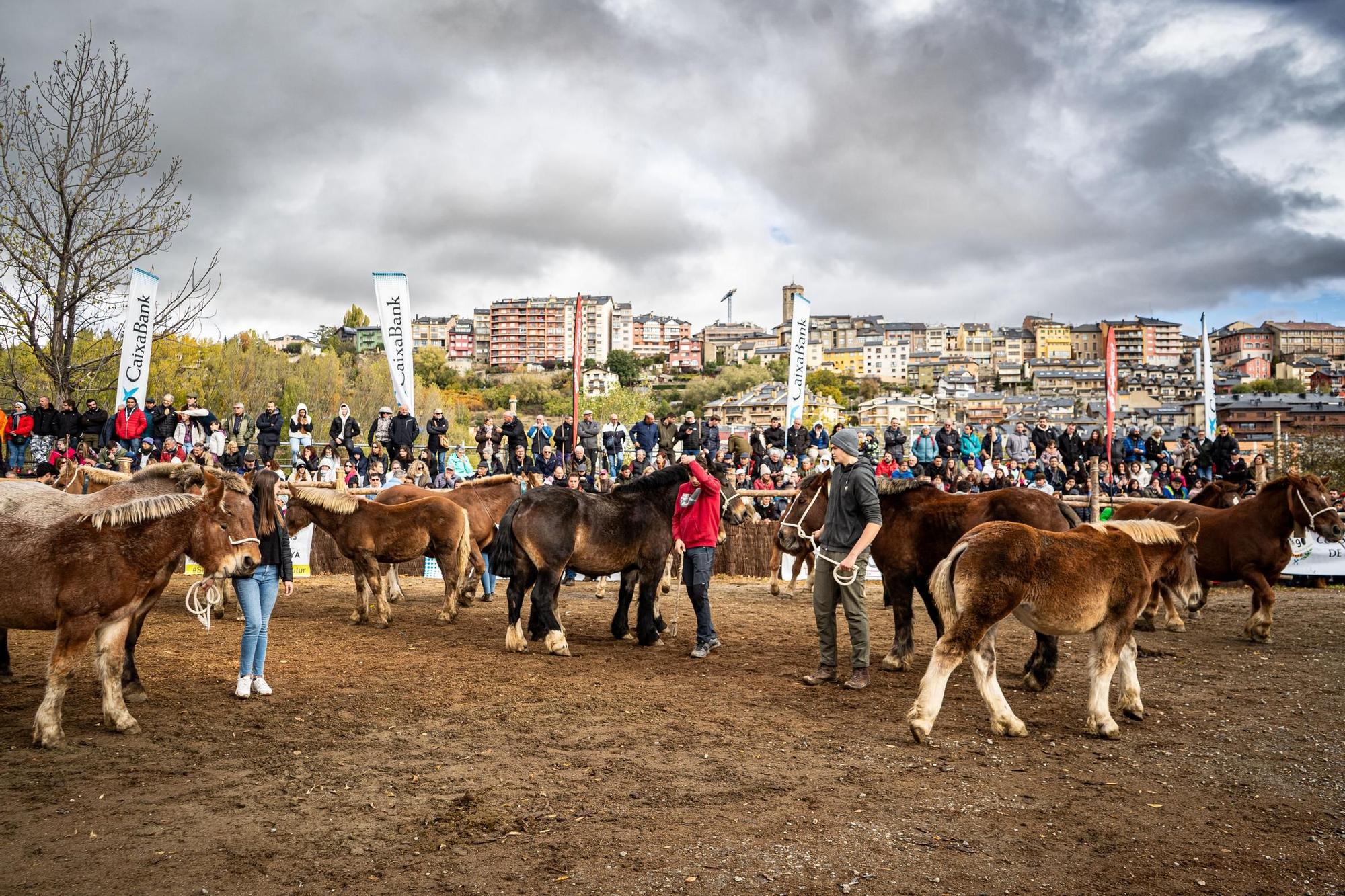 Totes les imatges de la Fira del Cavall de Puigcerdà