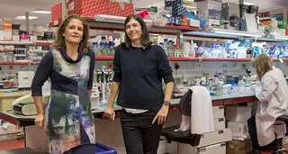 Científicos liderados por María Blasco curan la fibrosis pulmonar en ratones
