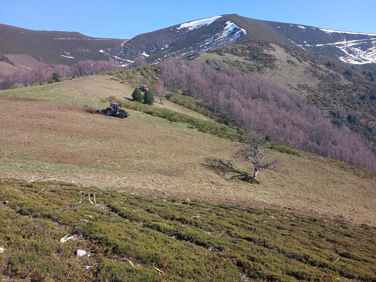 Tractores desbrozando para crear pastos en el parque natural de Fuentes del Narcea.