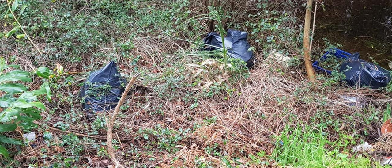 Bolsas con restos de poda tiradas en los montes mecos.