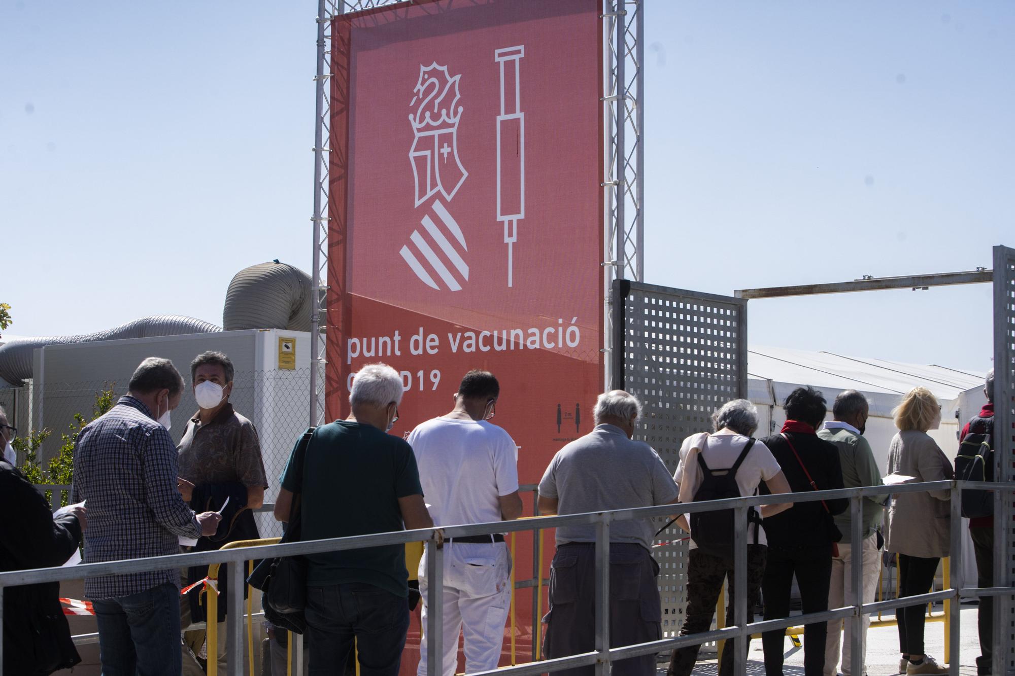 Largas colas al sol para vacunarse contra la COVID-19 en el hospital de campaña de La Fe