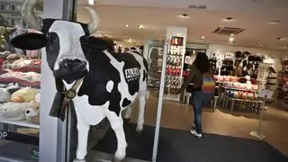 La vaca de Ale-Hop dispara sus ventas un 31% y factura 224 millones de euros