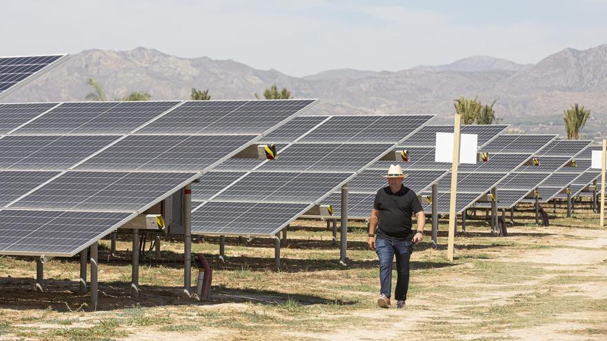 Un decreto del Gobierno evita que caduquen ocho proyectos de plantas solares en Alicante