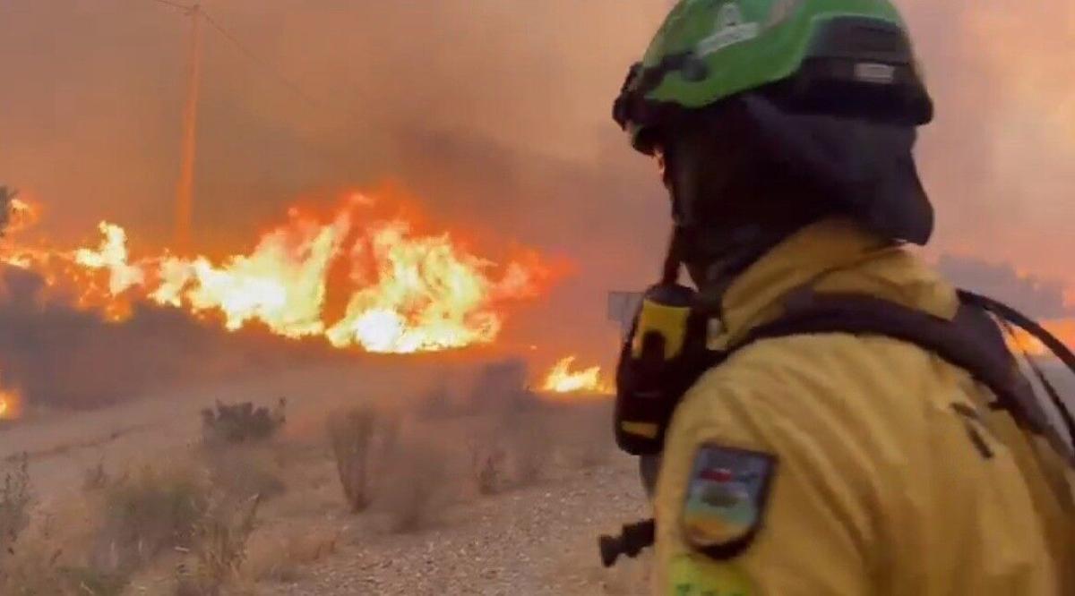 10/07/2026 Un bombero forestal combate el incendio declarado en Los Gallardos (Almería). POLITICA EMA INFOCA