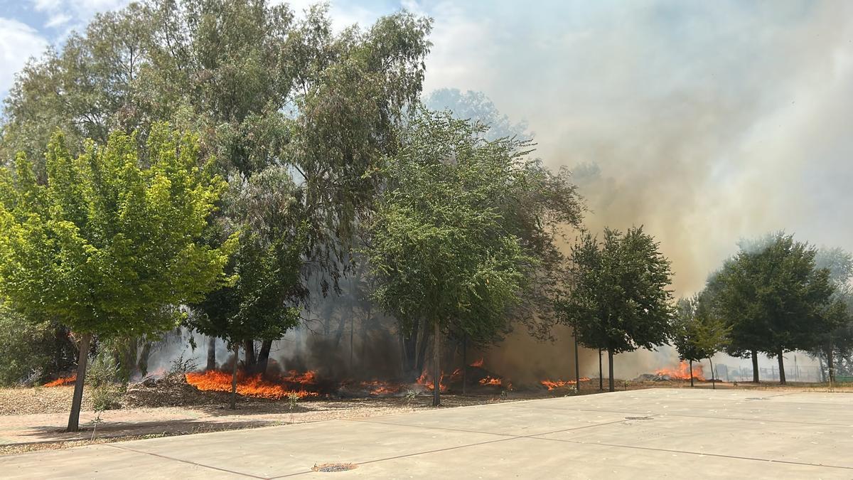 Imagen del incendio en la Universidad de Extremadura, en Badajoz.