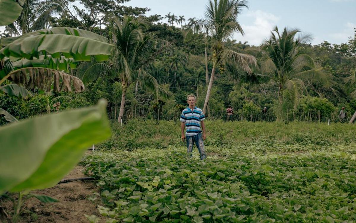 Las manos como tecnología agrícola