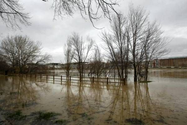 Fotogalería: Crecida en el río Ebro