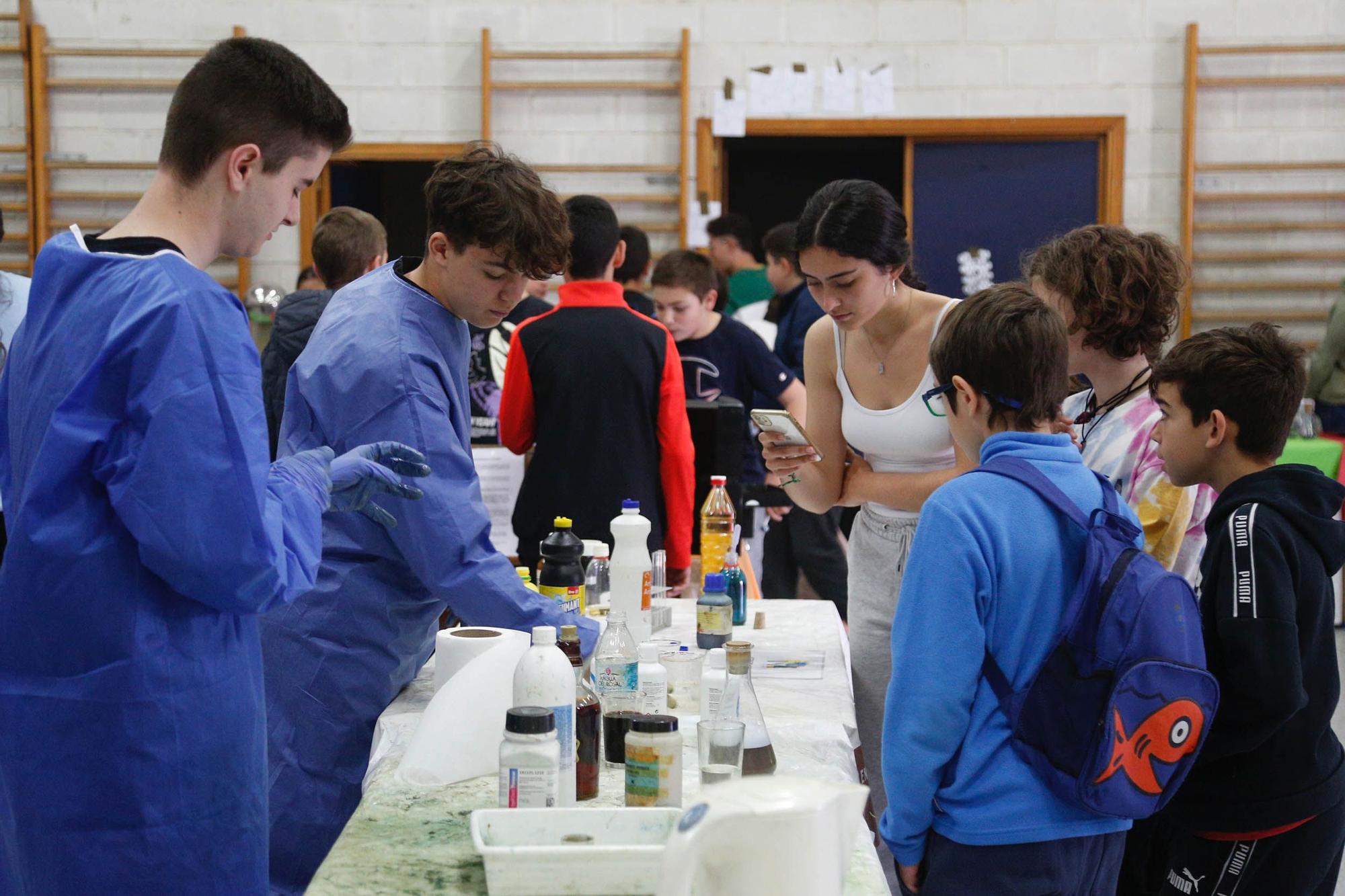 Expociencia en el IES Blas Inante