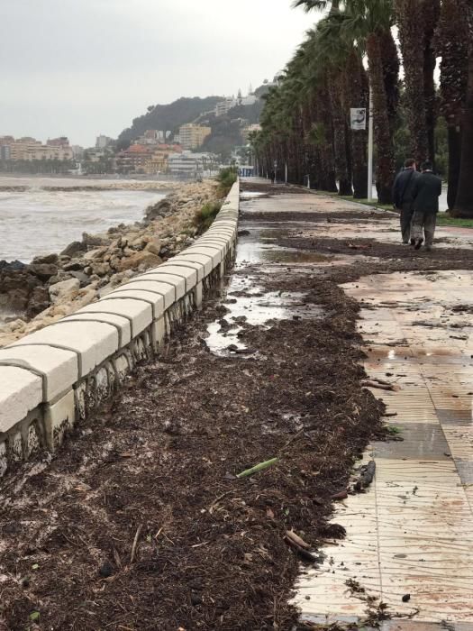 La tormenta ha ocasinado daños en La Malagueta.