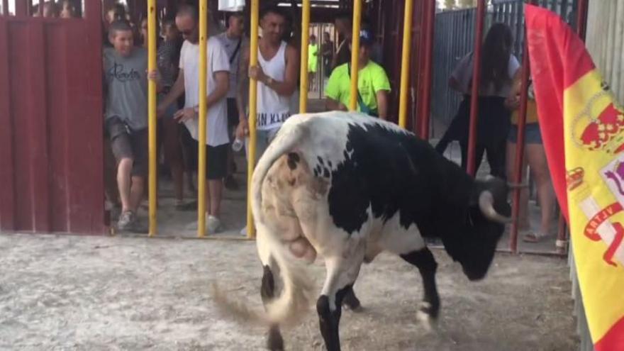 Un instante de la vaquilla del Moralet del pasado verano