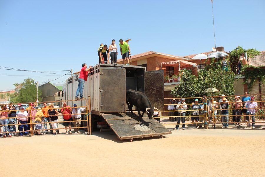 Fiestas en Zamora: Encierro en Argujillo