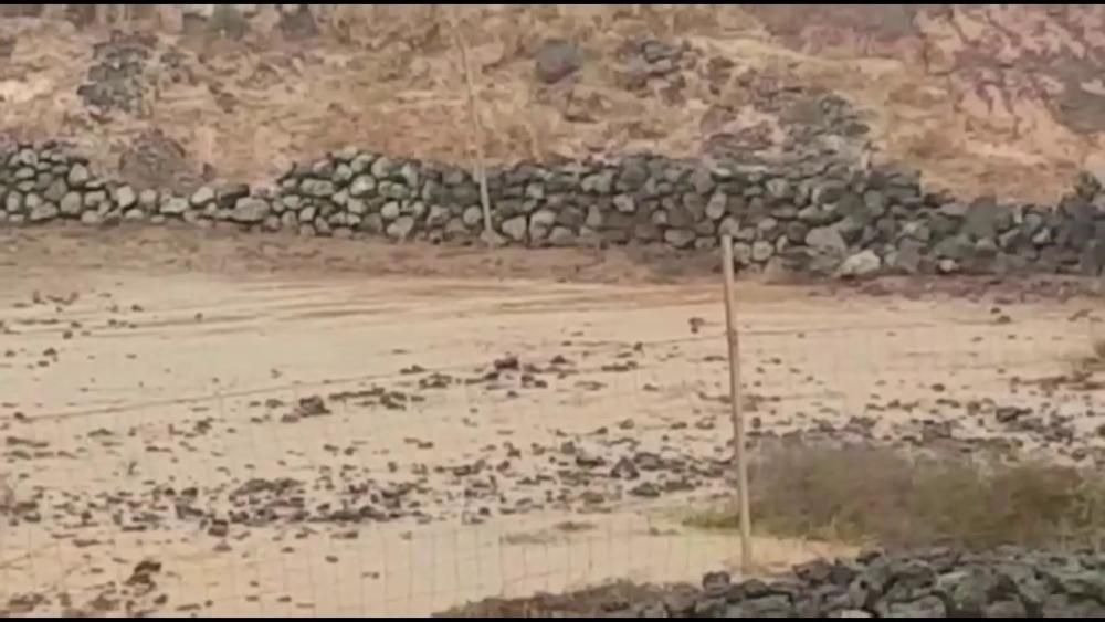 Lluvia en Las Cañadas de Recia